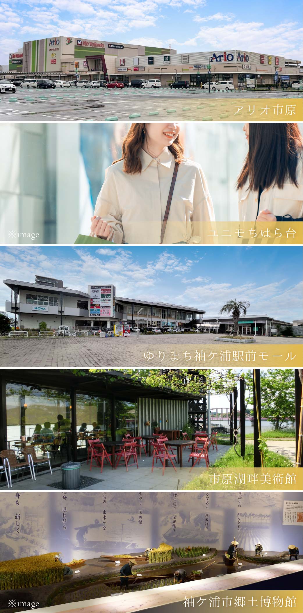 point02_picture