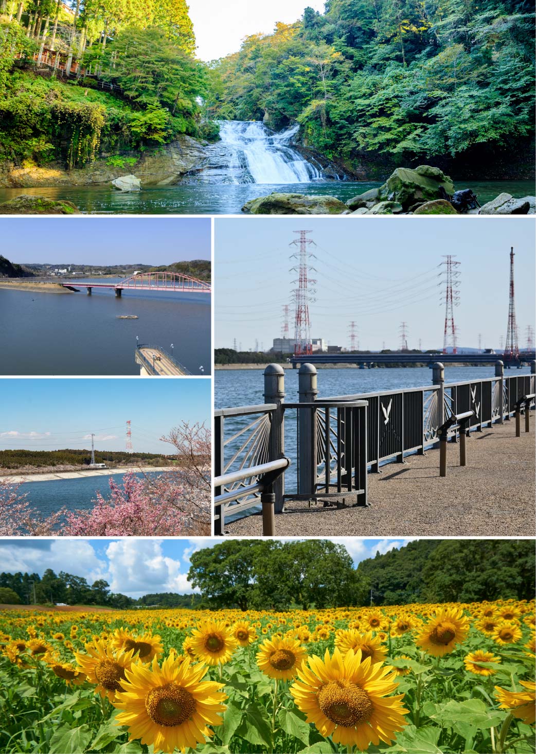 point03_市原市_picture