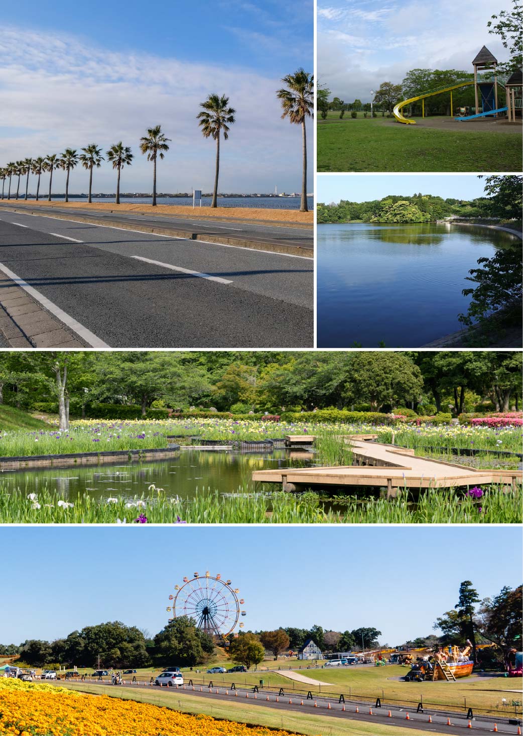 point03_袖ケ浦市_picture
