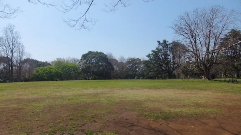 中央広場 - 青葉の森公園