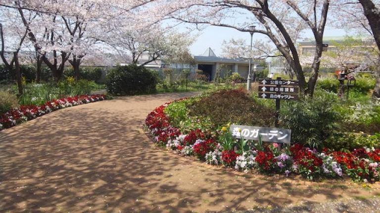 森のガーデン - 青葉の森公園