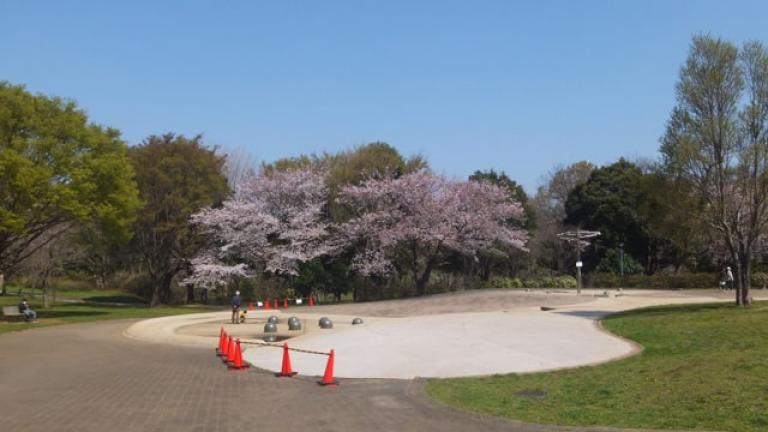 水の広場 - 青葉の森公園