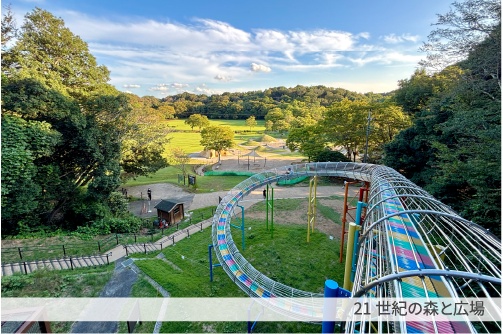 21世紀の森と広場
