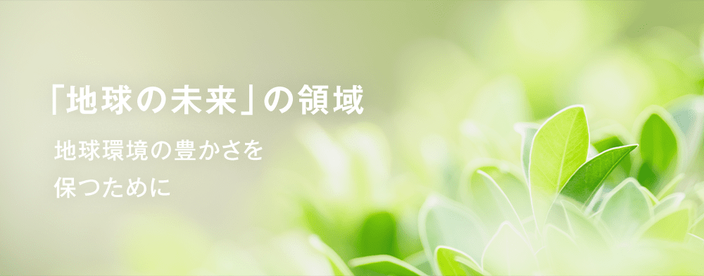 「地球の未来」の領域地球環境の豊かさを保つために