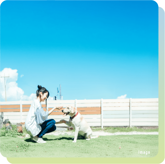 ペットと心地よい天然芝を楽しむ