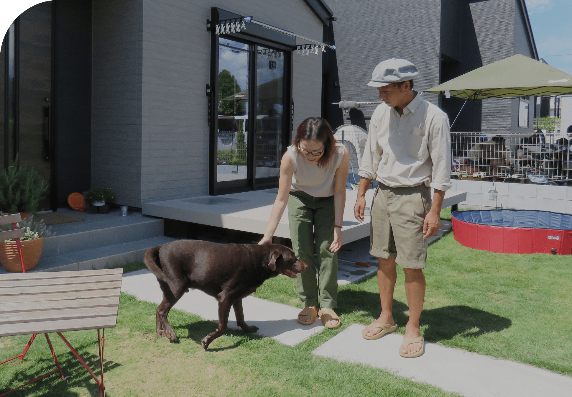 犬と家族