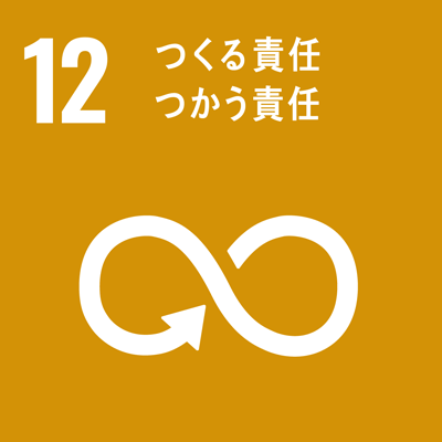 SDGsロゴ12