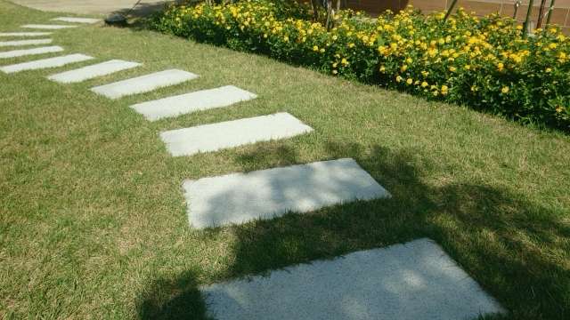 芝生のお手入れをしましょう 暮らしのコラム 暮らしのかけら 千葉の暮らしを楽しむフレスコオーナー様を応援