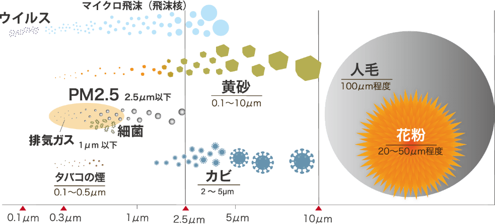 空気中のチリや汚染物質の大きさの比較の図