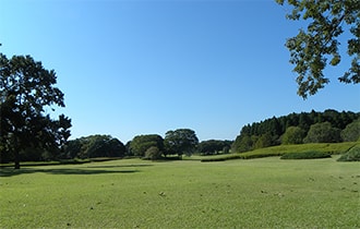 千葉市昭和の森